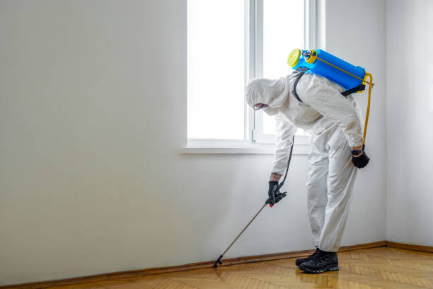 Best Pest Removal Services  in Harmony, RI
