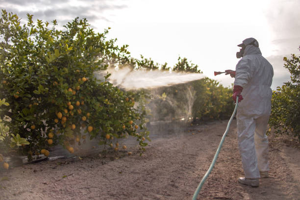 Best Best Pest Control Companies  in Harmony, RI