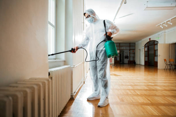 Best Ant Control Services  in Harmony, RI