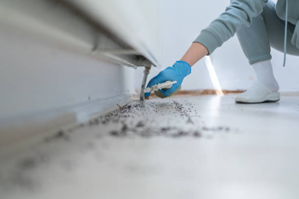 Trusted Harmony, RI Pest Control Experts